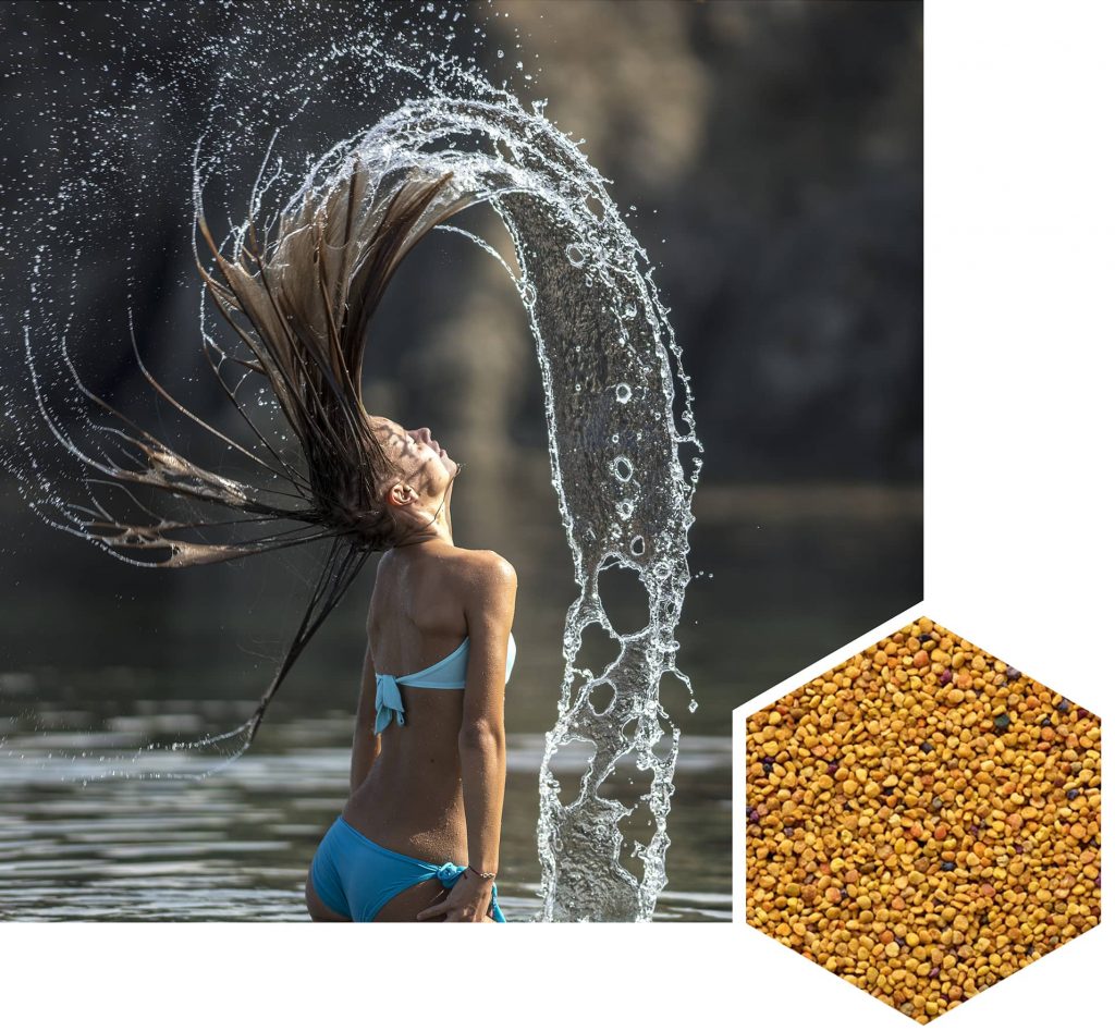 Защо пчелни продукти? Защо пчелни продукти?