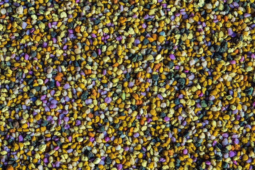 Натурален цветен прашец