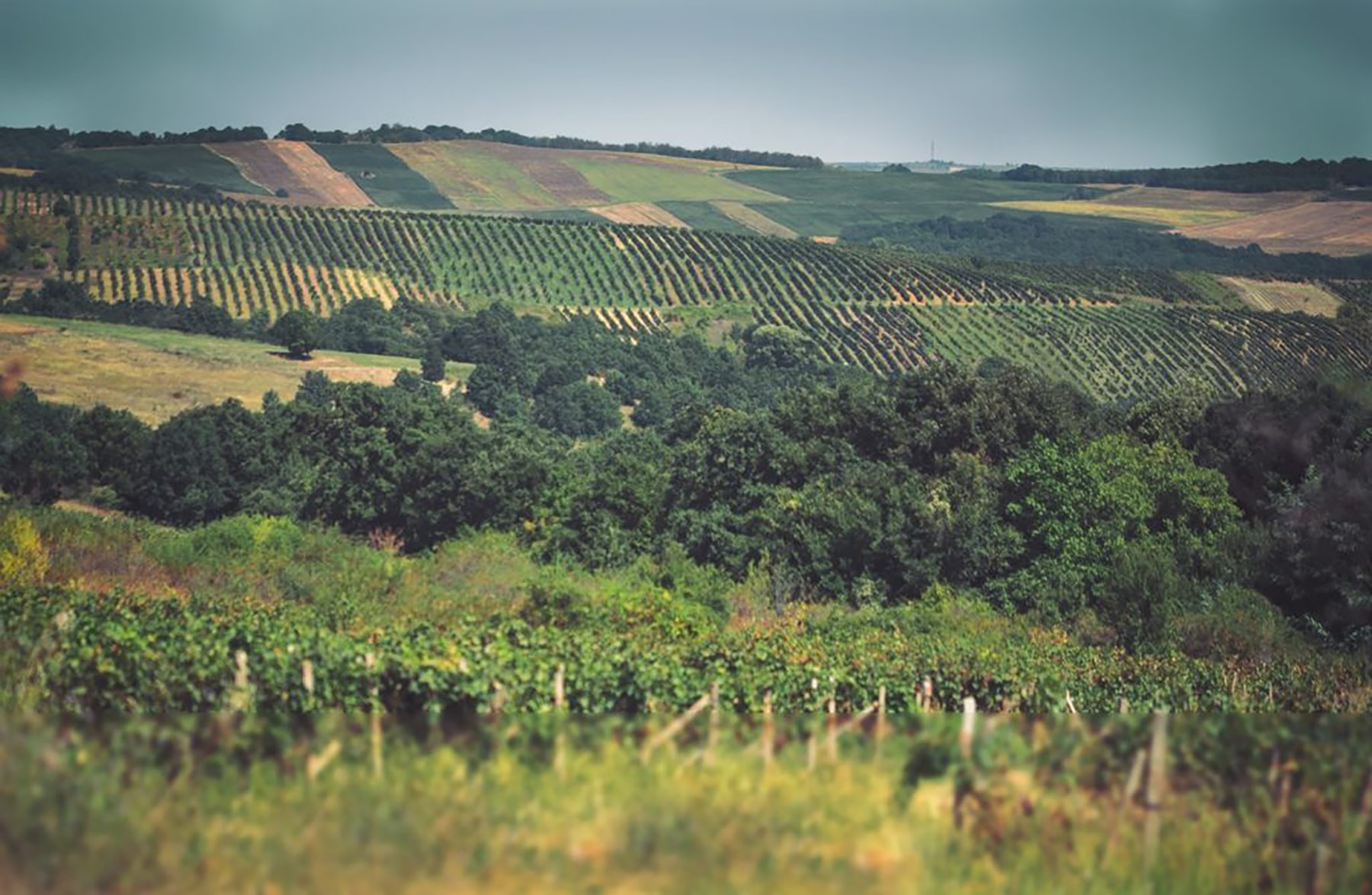 Източни Родопи