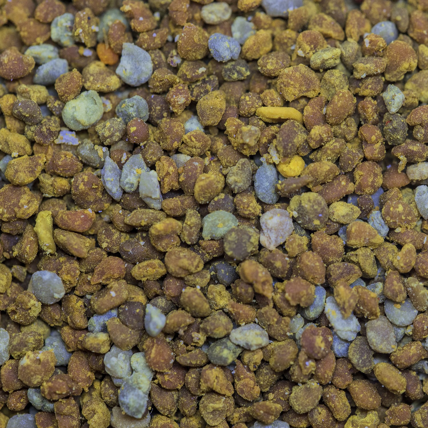 пчелен прашец