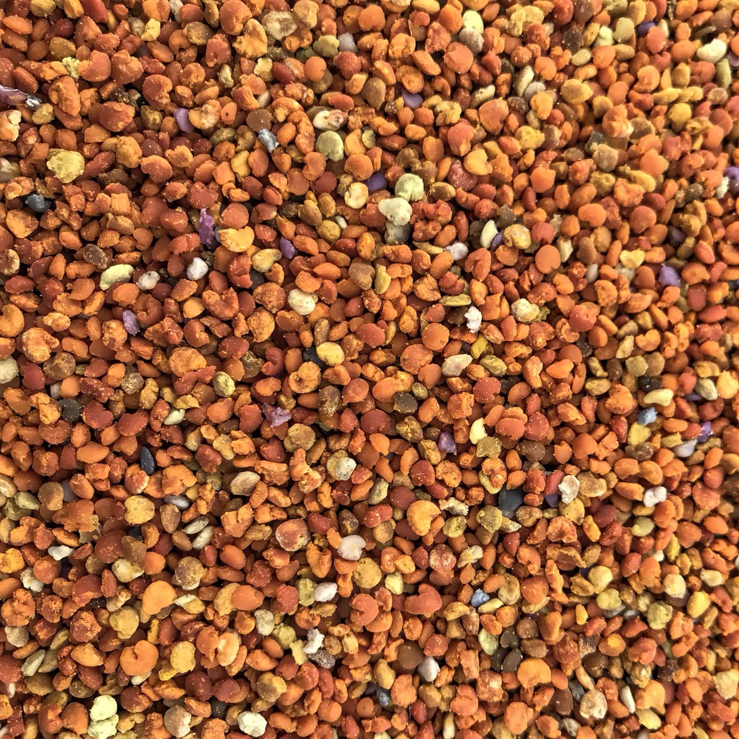 Пресен пчелен прашец GHoney - Image 5