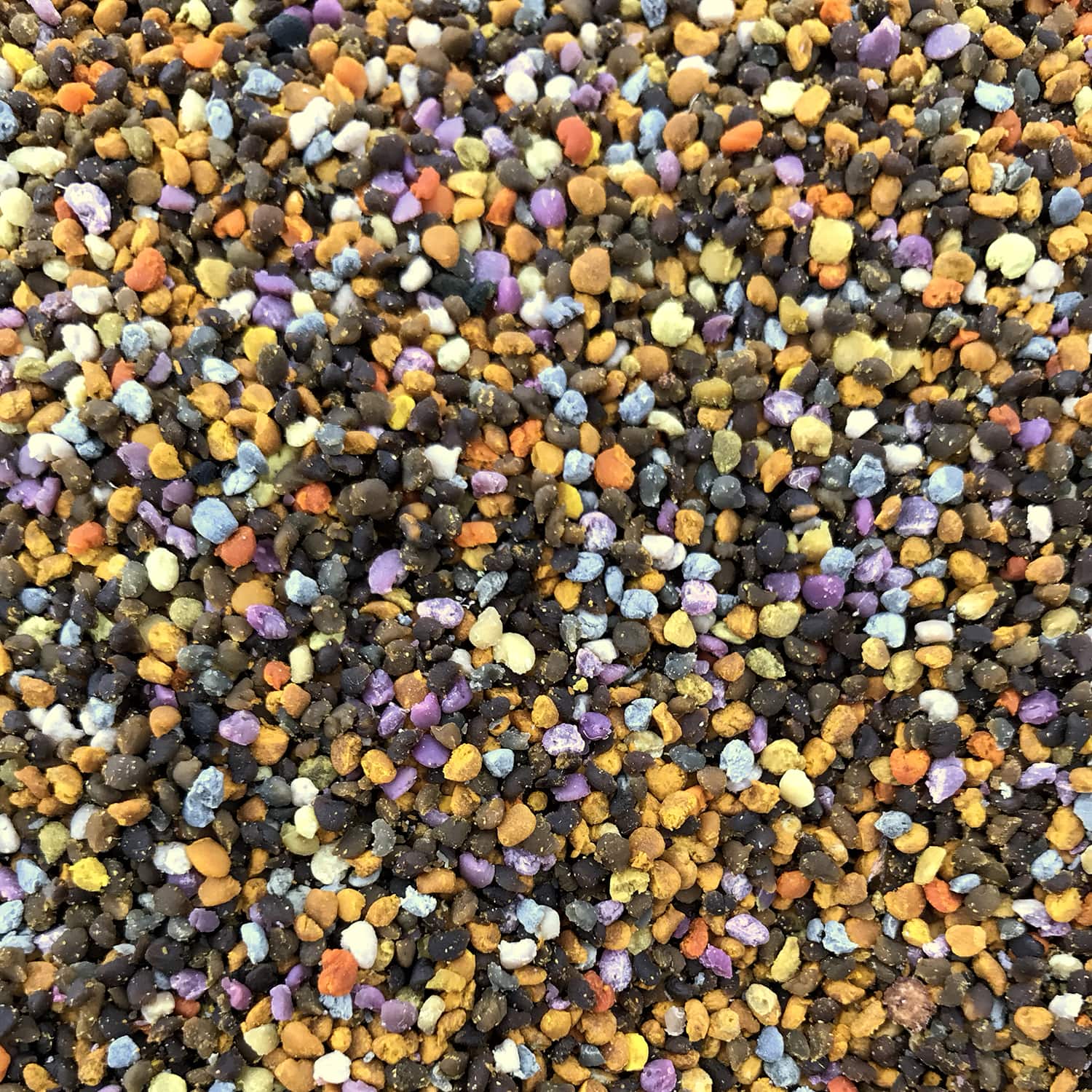 Пресен пчелен прашец GHoney - Image 6