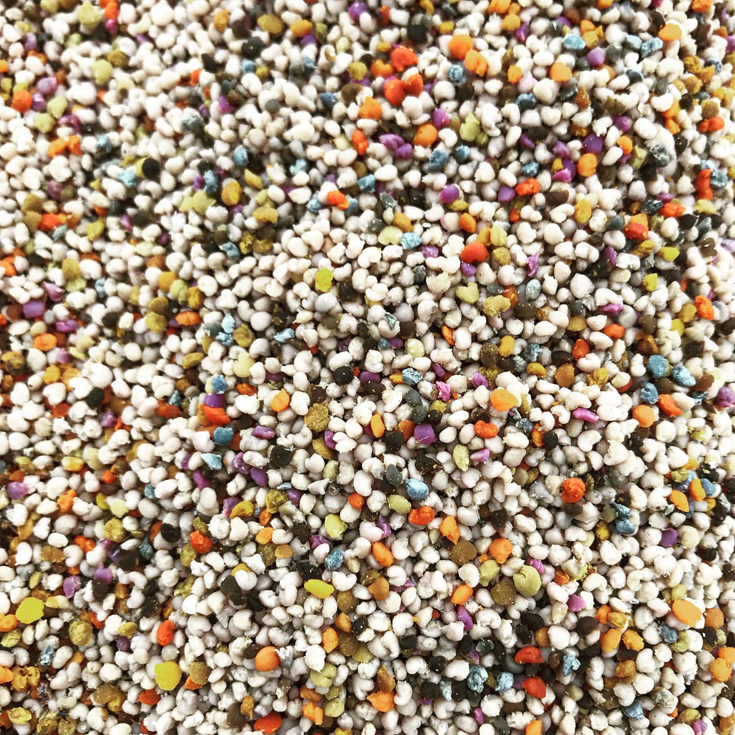 Пресен пчелен прашец GHoney - Image 2