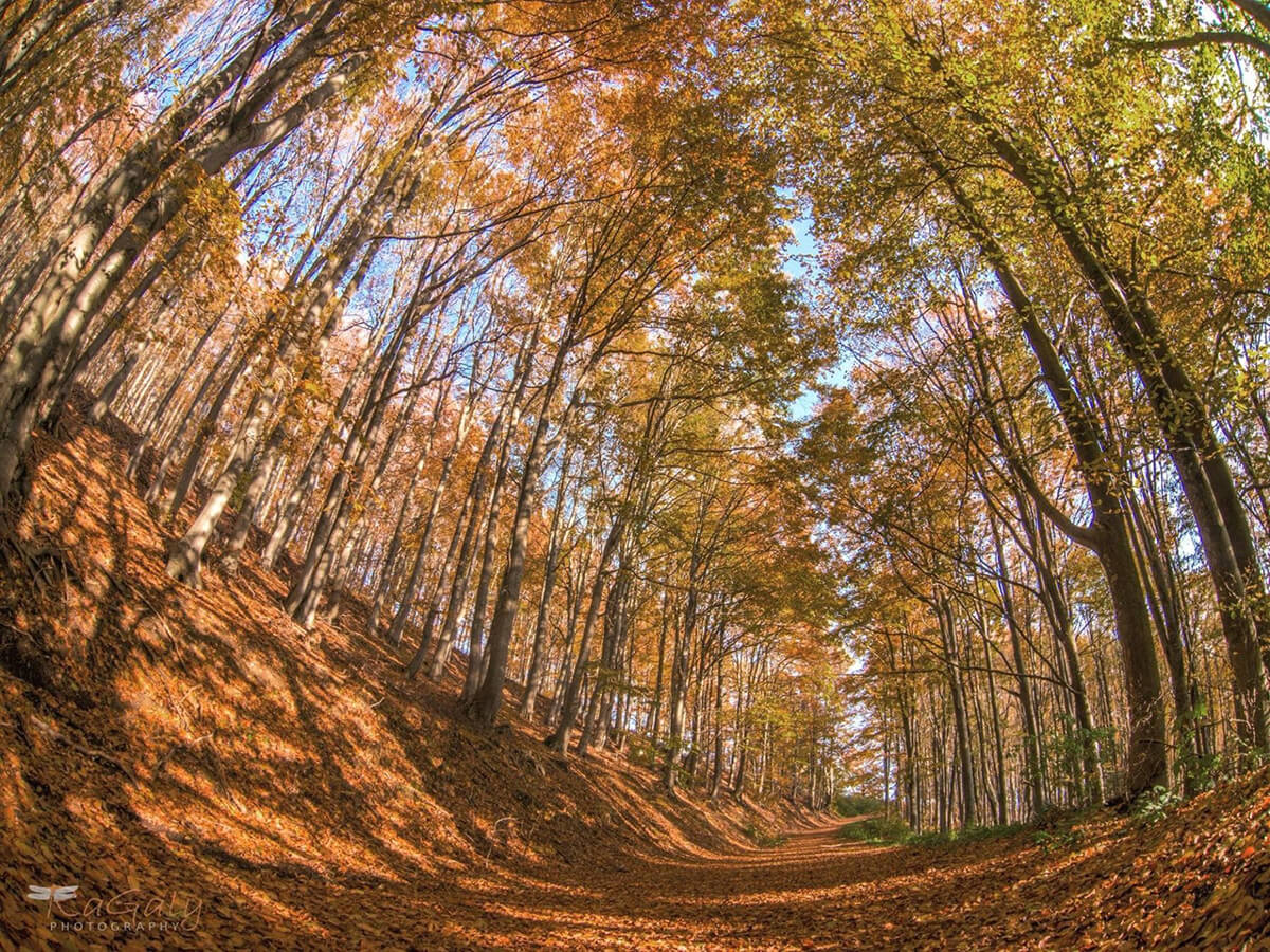 есен в стара планина