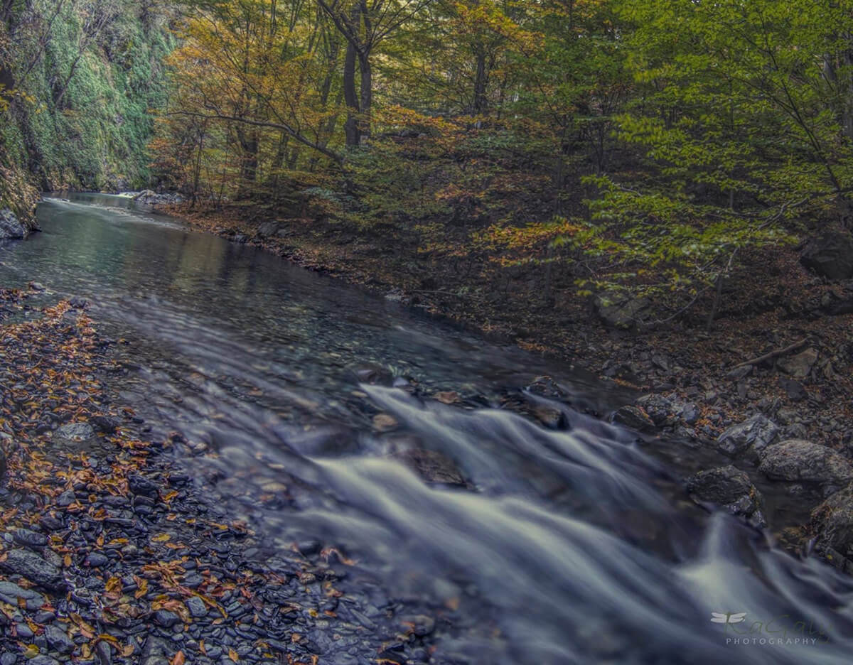 есенен пейзаж на Бяла река