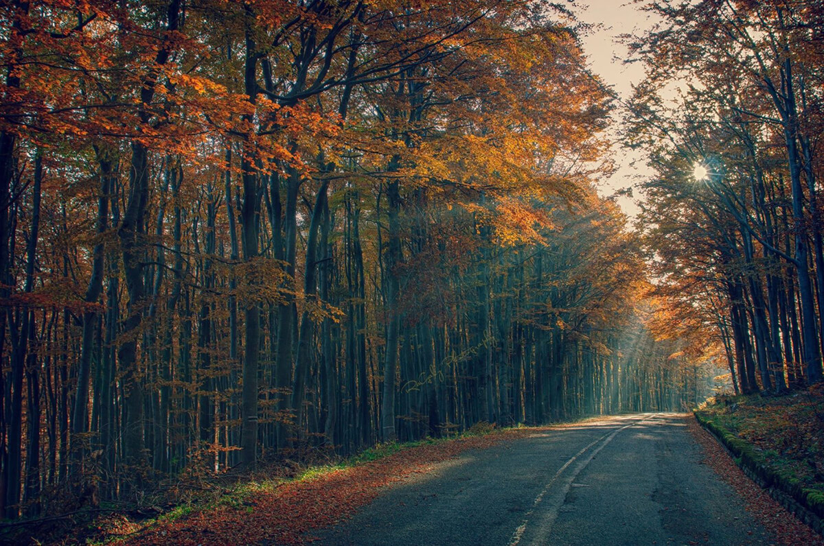 Есенен изгрев в Стара планина