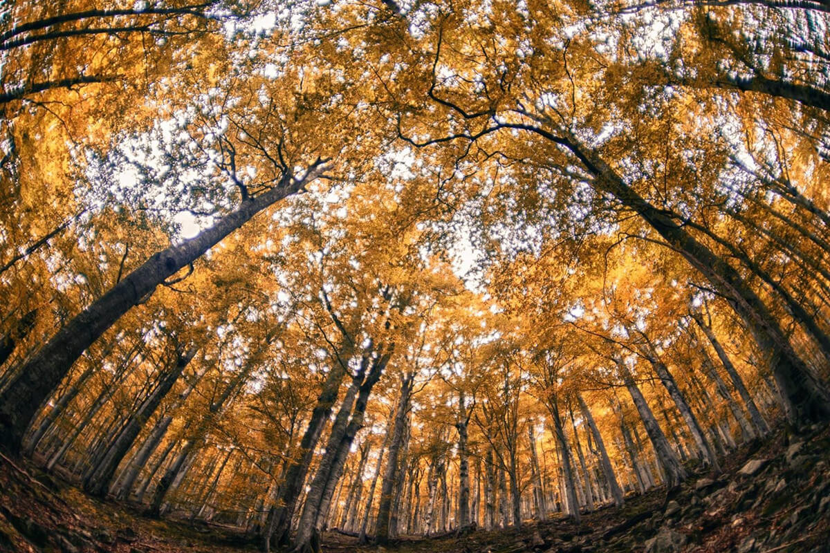 есенен пейзаж в стара планина