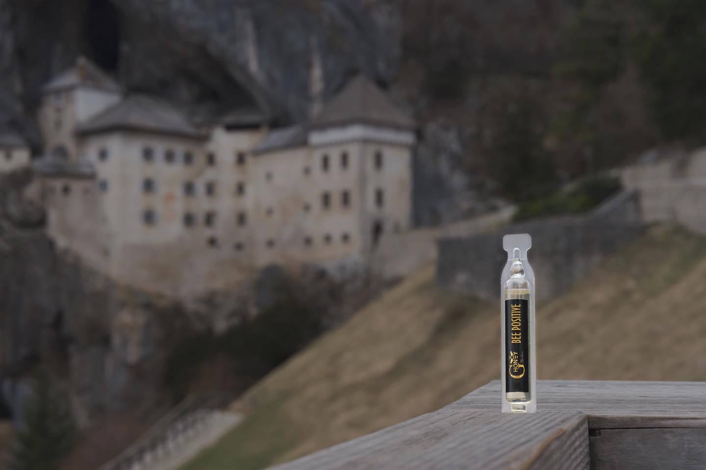 Словения, замъка Предямски град