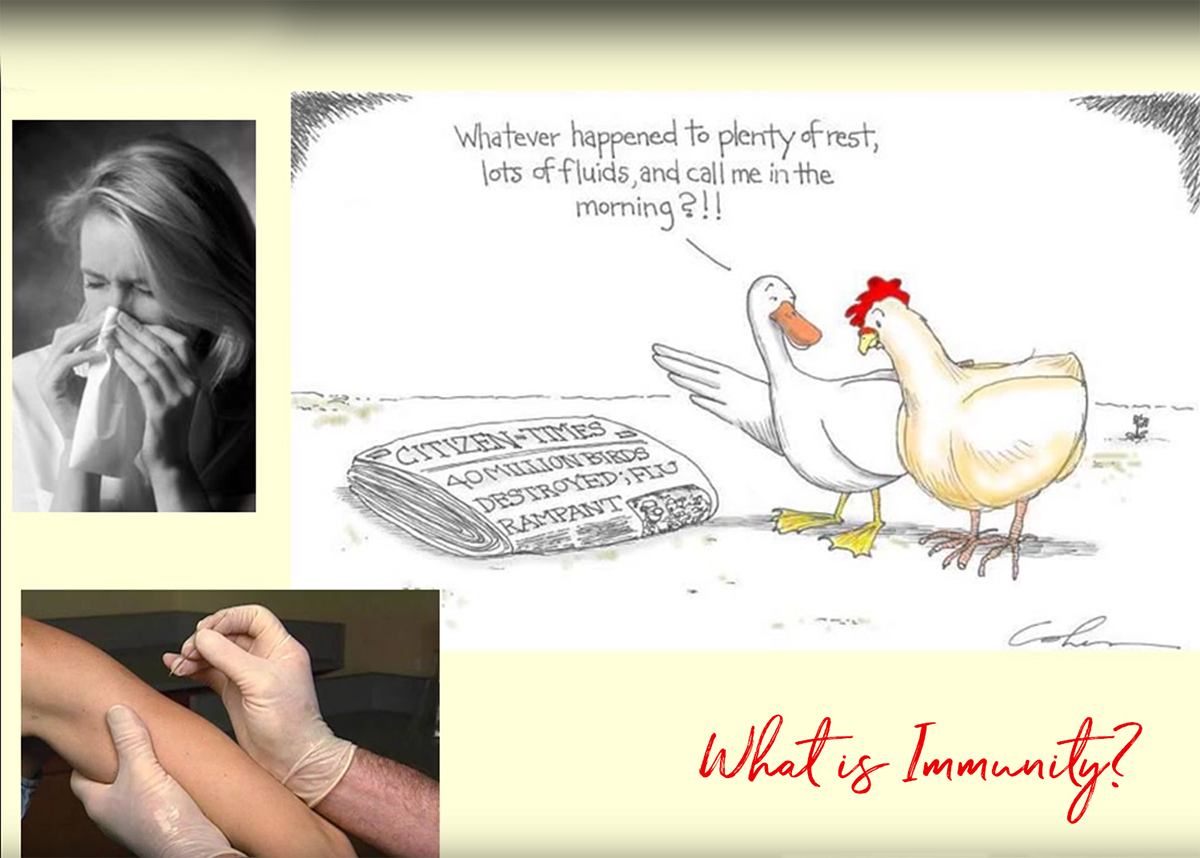 what is immunity какво е имунитет