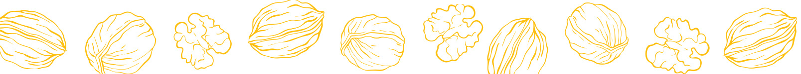 нарисувани орехи и орехови ядки