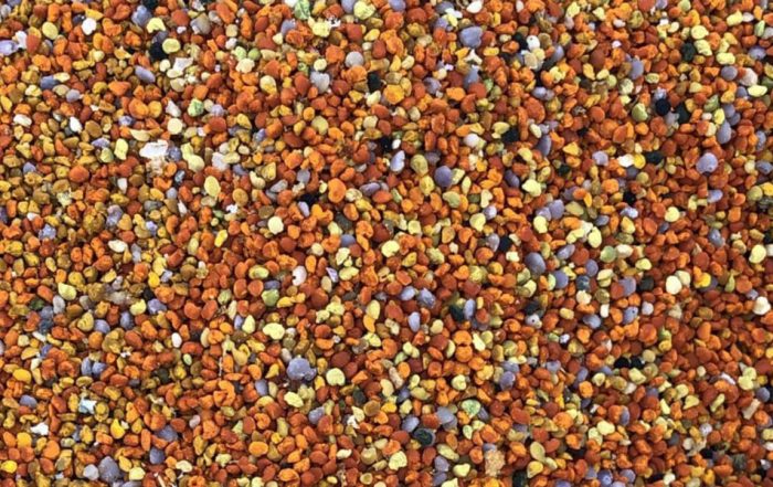 пчелен прашец